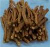 Organic Licorice Root Distributor Information