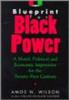 Dr. Amos Wilson ~ Blueprint for Black Power Video