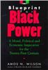 Dr. Amos Wilson ~ Blueprint for Black Power Video