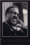 Malcolm X Posters